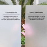 4,26€/m² Satinierte Milchglasfolie Sichtschutz Büro selbstklebend Weiss / Frostet 122cm